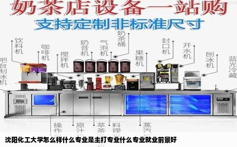 沈阳化工大学怎么样什么专业是主打专业什么专业就业前景好