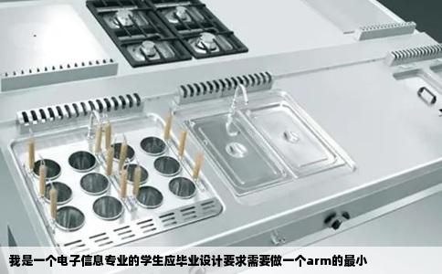 我是一个电子信息专业的学生应毕业设计要求需要做一个arm的最小