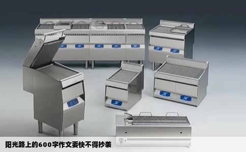 阳光路上的600字作文要快不得抄袭