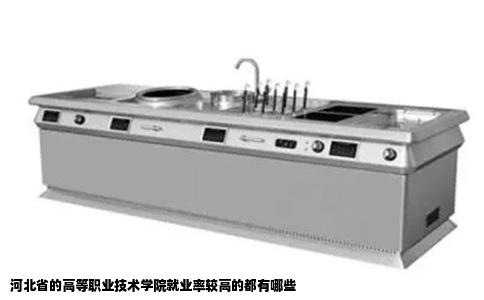 河北省的高等职业技术学院就业率较高的都有哪些