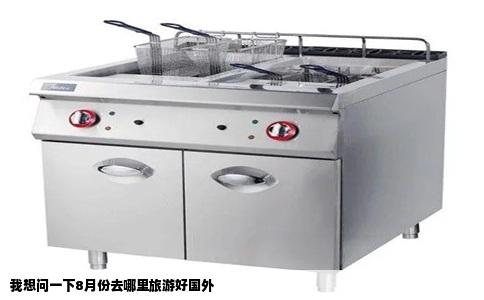 我想问一下8月份去哪里旅游好国外