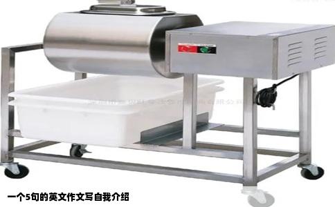 一个5句的英文作文写自我介绍