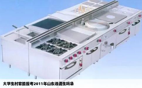 大学生村官能报考2011年山东选调生吗急