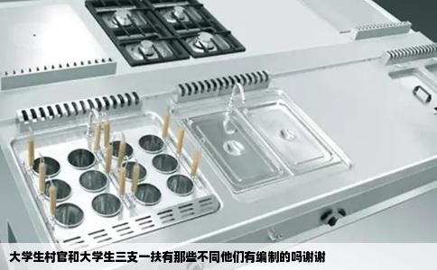 大学生村官和大学生三支一扶有那些不同他们有编制的吗谢谢