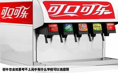 初中毕业如果考不上高中有什么学校可以选择啊