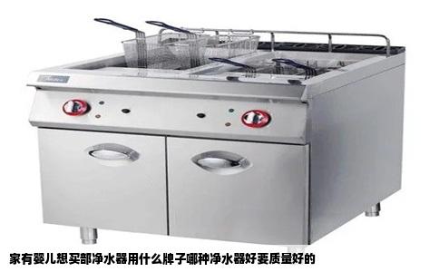 家有婴儿想买部净水器用什么牌子哪种净水器好要质量好的