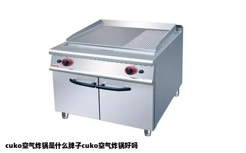 cuko空气炸锅是什么牌子cuko空气炸锅好吗