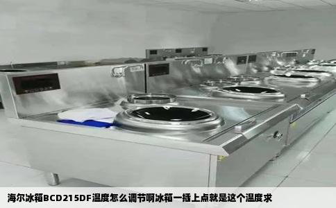 海尔冰箱BCD215DF温度怎么调节啊冰箱一插上点就是这个温度求