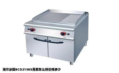 海尔冰箱BCD215KS用着怎么样价格多少