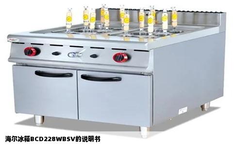 海尔冰箱BCD228WBSV的说明书