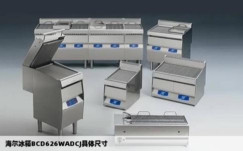 海尔冰箱BCD626WADCJ具体尺寸
