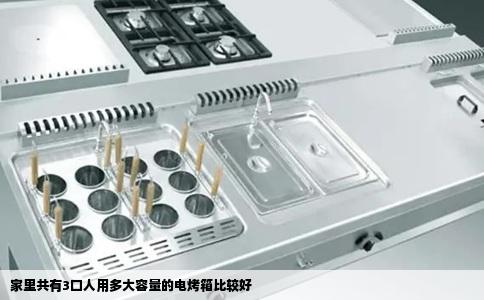 家里共有3口人用多大容量的电烤箱比较好