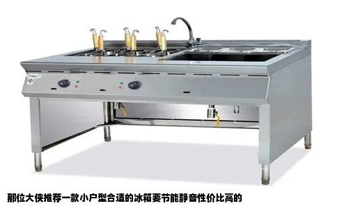 那位大侠推荐一款小户型合适的冰箱要节能静音性价比高的