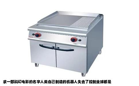 求一部科幻电影的名字人类自己制造的机器人失去了控制全球都是