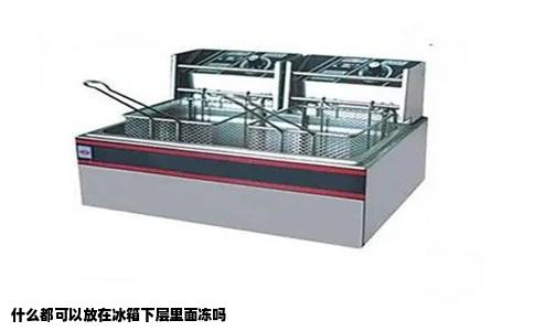 什么都可以放在冰箱下层里面冻吗