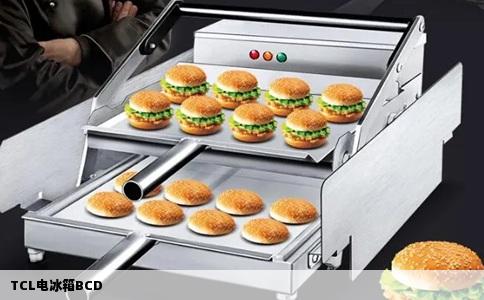TCL电冰箱BCD