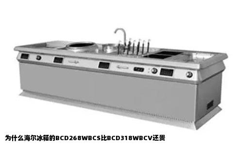 为什么海尔冰箱的BCD268WBCS比BCD318WBCV还贵