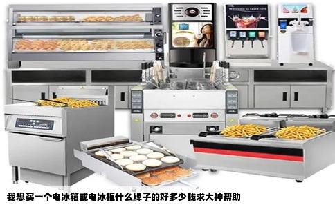 我想买一个电冰箱或电冰柜什么牌子的好多少钱求大神帮助