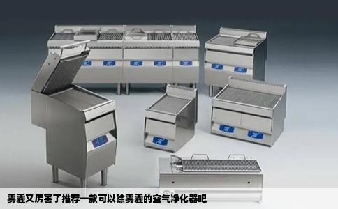 雾霾又厉害了推荐一款可以除雾霾的空气净化器吧