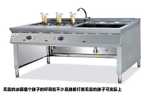 无霜的冰箱哪个牌子的好现在不少品牌都打着无霜的牌子可实际上