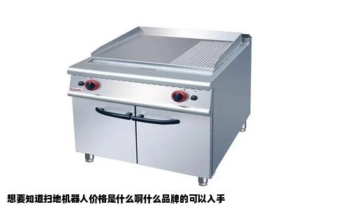 想要知道扫地机器人价格是什么啊什么品牌的可以入手