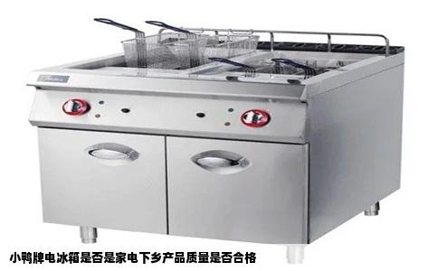 小鸭牌电冰箱是否是家电下乡产品质量是否合格