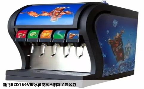 新飞BCD189V型冰箱突然不制冷了怎么办