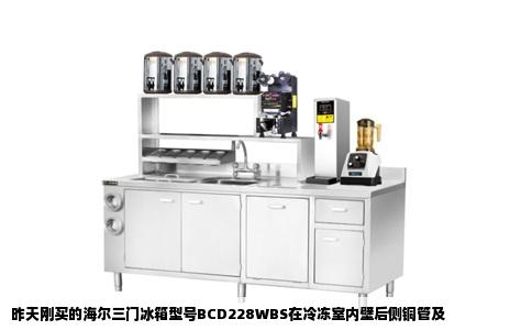 昨天刚买的海尔三门冰箱型号BCD228WBS在冷冻室内壁后侧铜管及