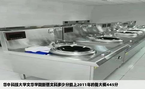 华中科技大学文华学院新疆文科多少分能上2011年的我大概445分