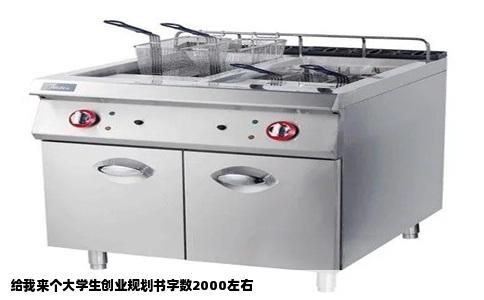 给我来个大学生创业规划书字数2000左右