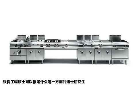 软件工程硕士可以报考什么哪一方面的博士研究生