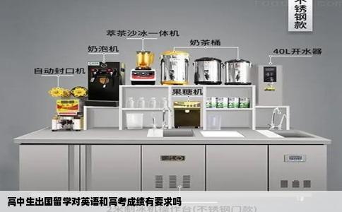 高中生出国留学对英语和高考成绩有要求吗