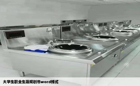 大学生职业生涯规划书word格式