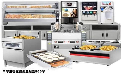 中学生零花钱调查报告800字