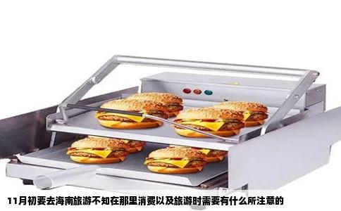 11月初要去海南旅游不知在那里消费以及旅游时需要有什么所注意的