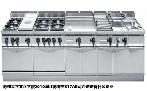 苏州大学文正学院2010届江苏考生317AB可否进进有什么专业