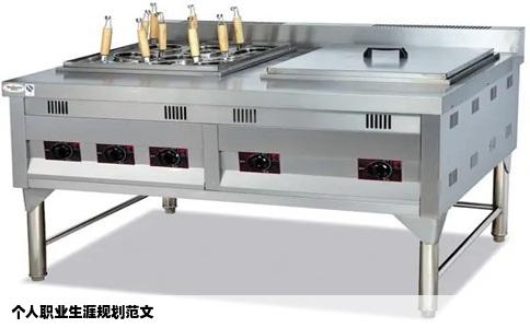 个人职业生涯规划范文