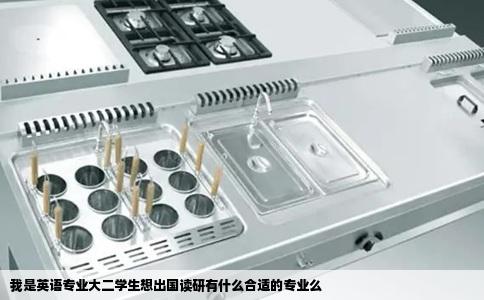 我是英语专业大二学生想出国读研有什么合适的专业么