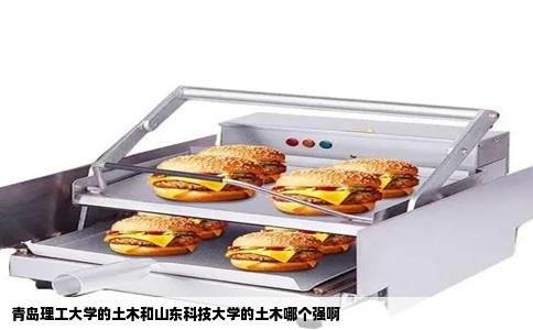 青岛理工大学的土木和山东科技大学的土木哪个强啊