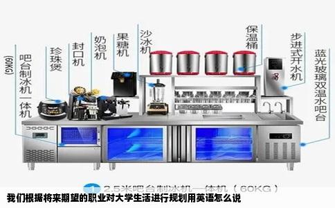 我们根据将来期望的职业对大学生活进行规划用英语怎么说