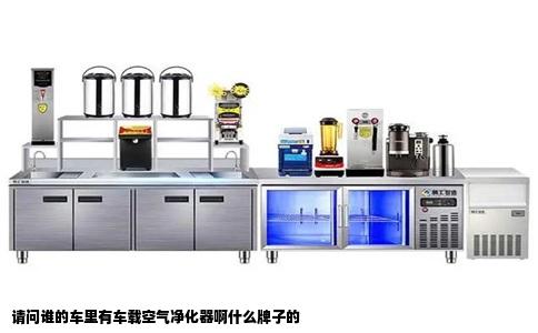 请问谁的车里有车载空气净化器啊什么牌子的