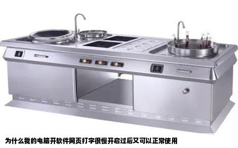 为什么我的电脑开软件网页打字很慢开启过后又可以正常使用