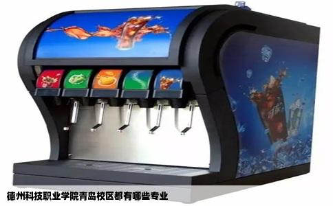德州科技职业学院青岛校区都有哪些专业