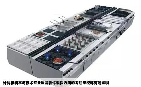 计算机科学与技术专业里偏软件编程方向的考研学校都有哪些啊