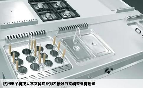 杭州电子科技大学文科专业排名最好的文科专业有哪些