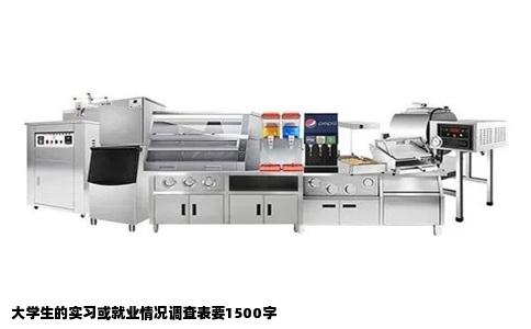 大学生的实习或就业情况调查表要1500字