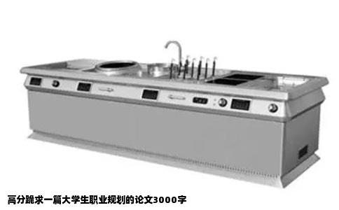 高分跪求一篇大学生职业规划的论文3000字