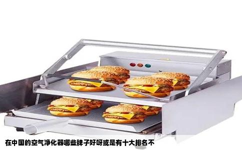 在中国的空气净化器哪些牌子好呀或是有十大排名不