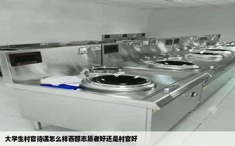 大学生村官待遇怎么样西部志愿者好还是村官好