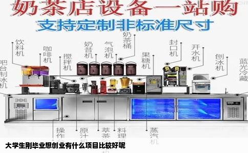 大学生刚毕业想创业有什么项目比较好呢